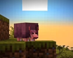 "Minecraft 1.21 update brings adorable armadillos and wolf armor"