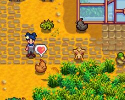 Nové módy do Stardew Valley přidávají přes 1 000 jedinečných designů pro vaše zvířata